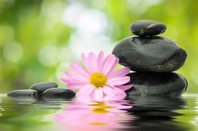 La Stone Fußmassagesteine